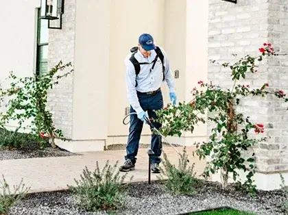 Natural choice pest control options