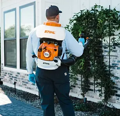 Mosquito pest control services
