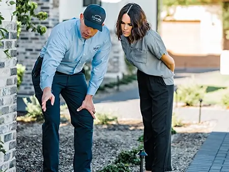 Pest control explanation and services