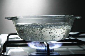 Boiling Water Doesn't Kill Ants