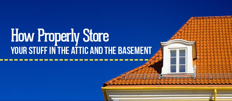 keep attic bug free