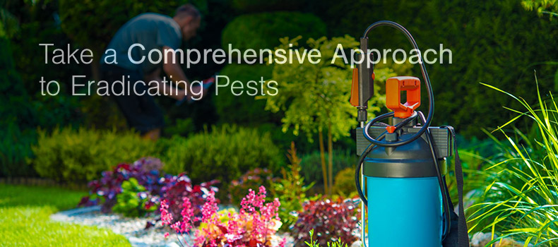 Take a Comprehensive Approach to Eradicating Pests